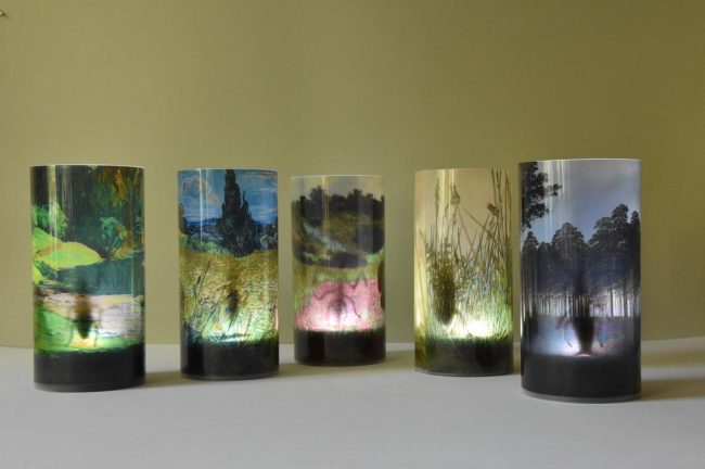 Schmechel Insect shadows