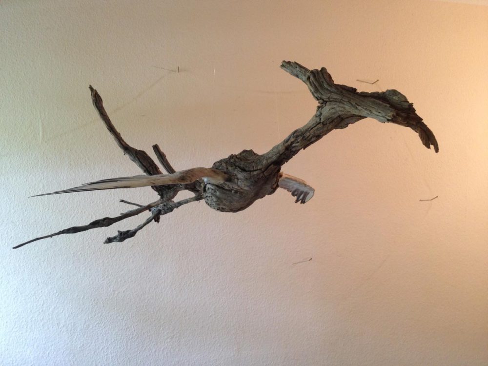 Dieter-Meese---Urvogel