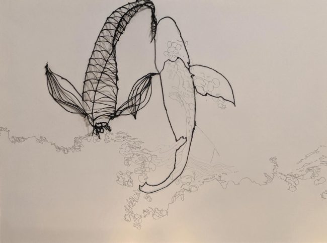 Karoline Hoffmann-Pudelko