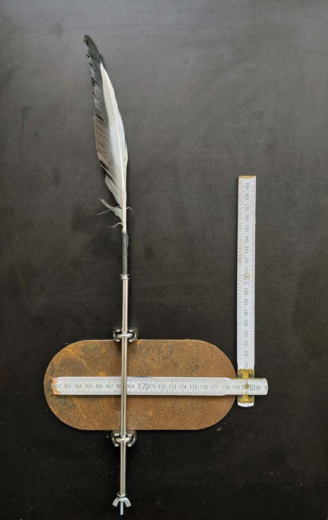 Fliegen III Helena&Paris