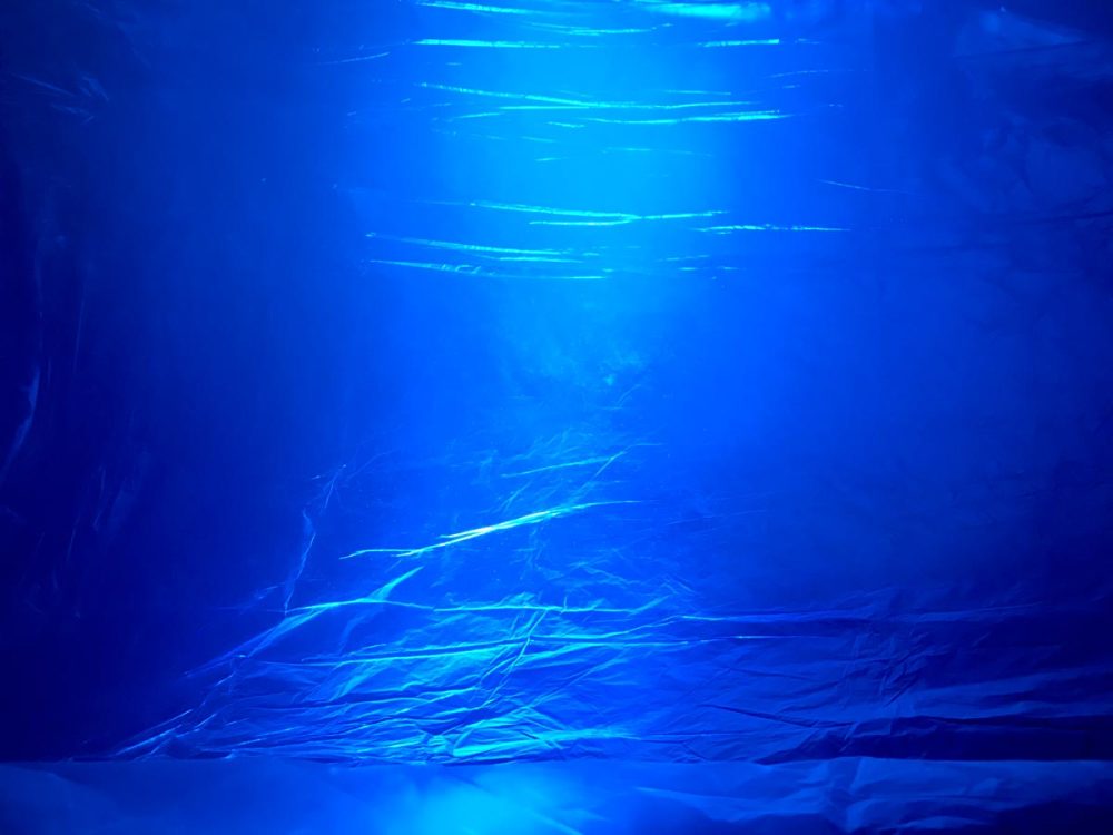 Ach Kuhzunft Installation "Laues Berauschen"