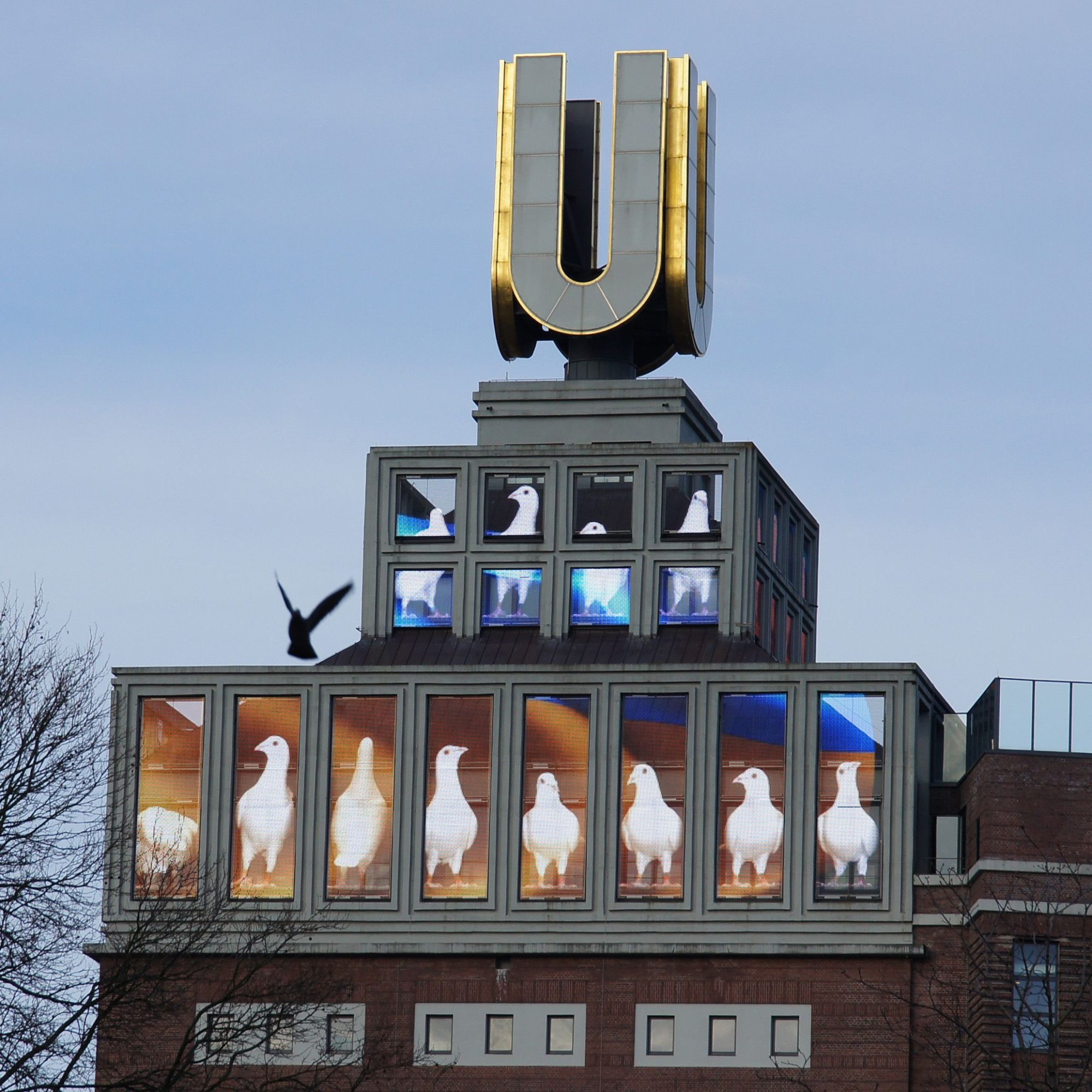 Rita-Maria Schwalgin, 24.02.2022, 52 x 52 cm, Fotografie auf Alu-Dibond, 2022, ©Schwalgin VG-Bild-Kunst 2022