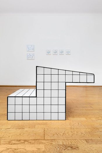 Denise Ritter, dryland, Installation